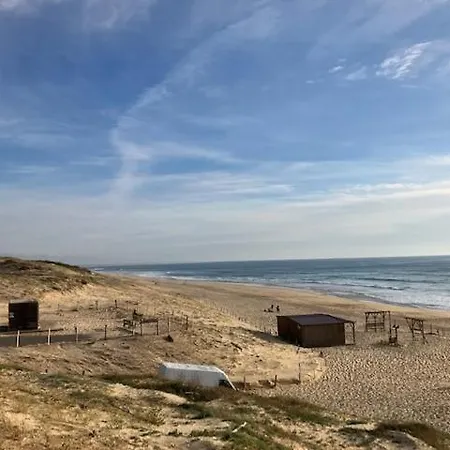 Ocean Chill