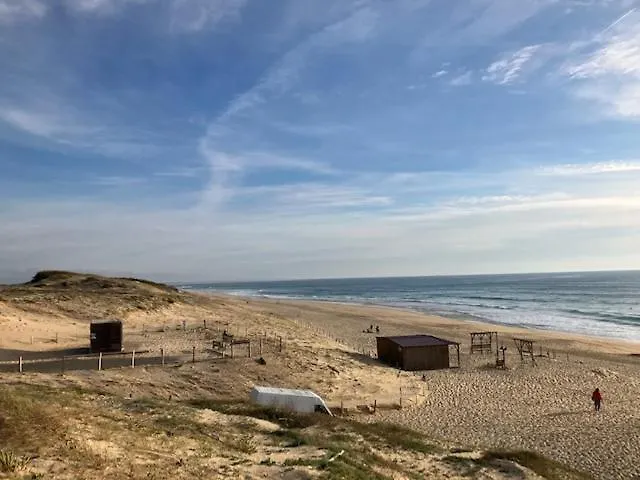 Ocean Chill